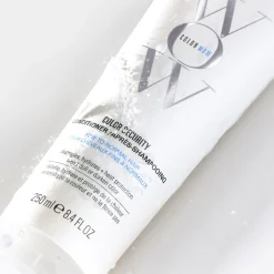 Après-shampooing cheveux fins à normaux Color Security