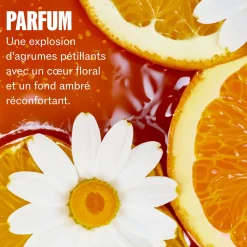 Baume soyeux 24H Ultimate Smooth 30 ml