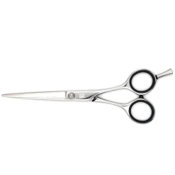 Ciseaux de coupe silver