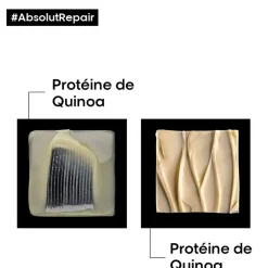 Duo rituel restructurant intense Absolut Repair