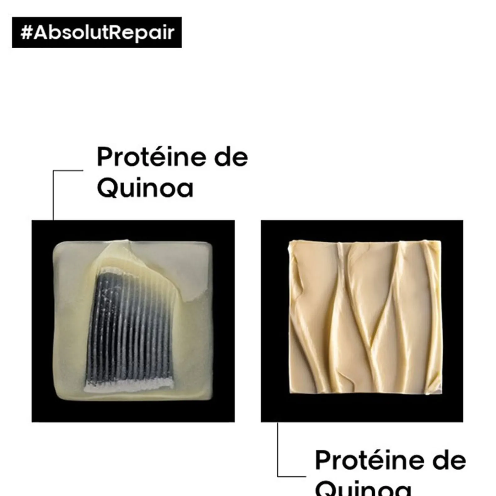 Duo rituel restructurant intense Absolut Repair