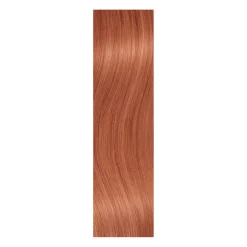Extensions Cheveux Naturels straight 21