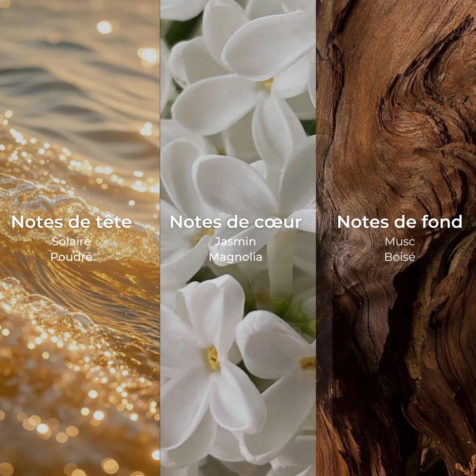 Lait démêlant sans rinçage Hair Therapy