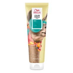 Masque Color Fresh nuance audacieuse mint