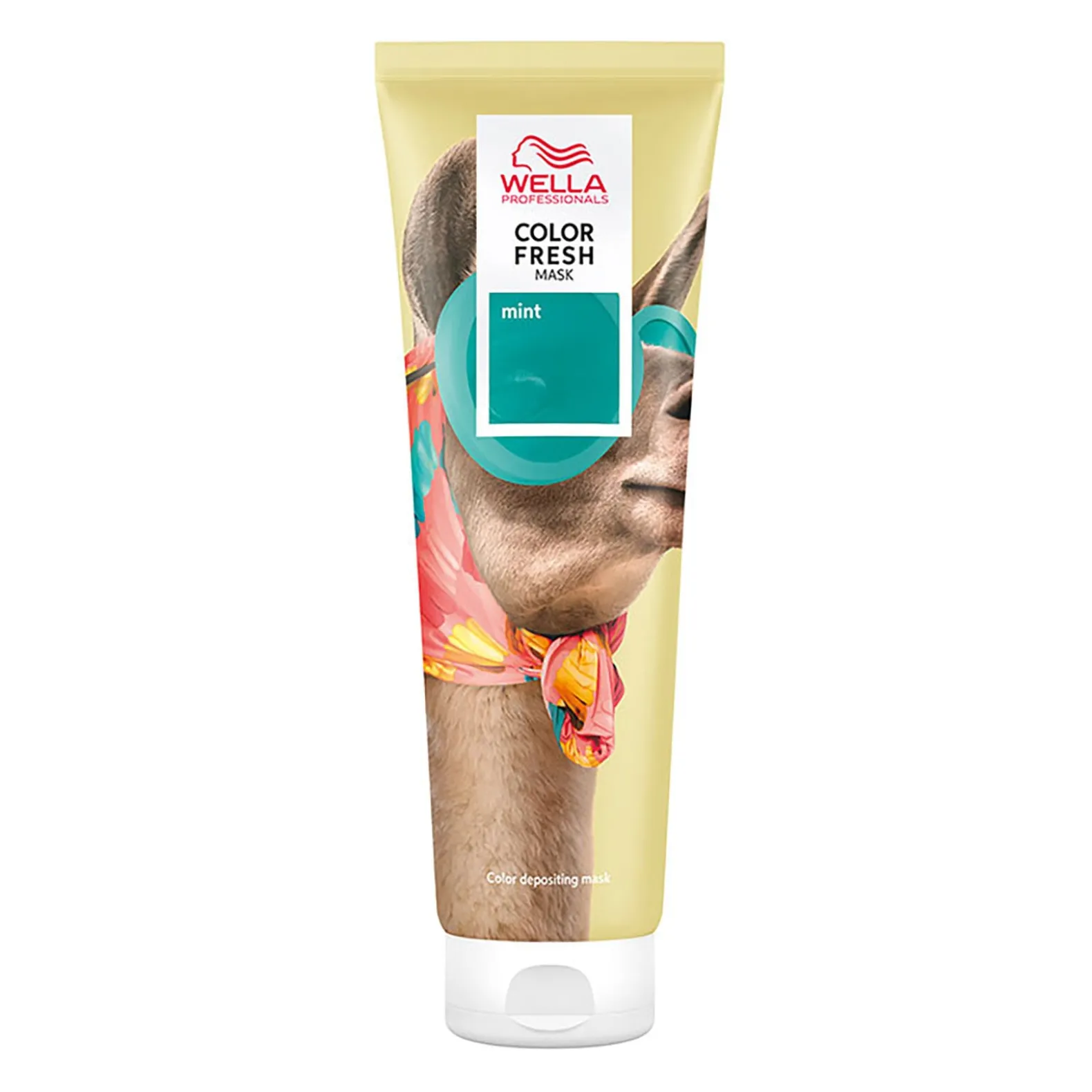 Masque Color Fresh nuance audacieuse mint