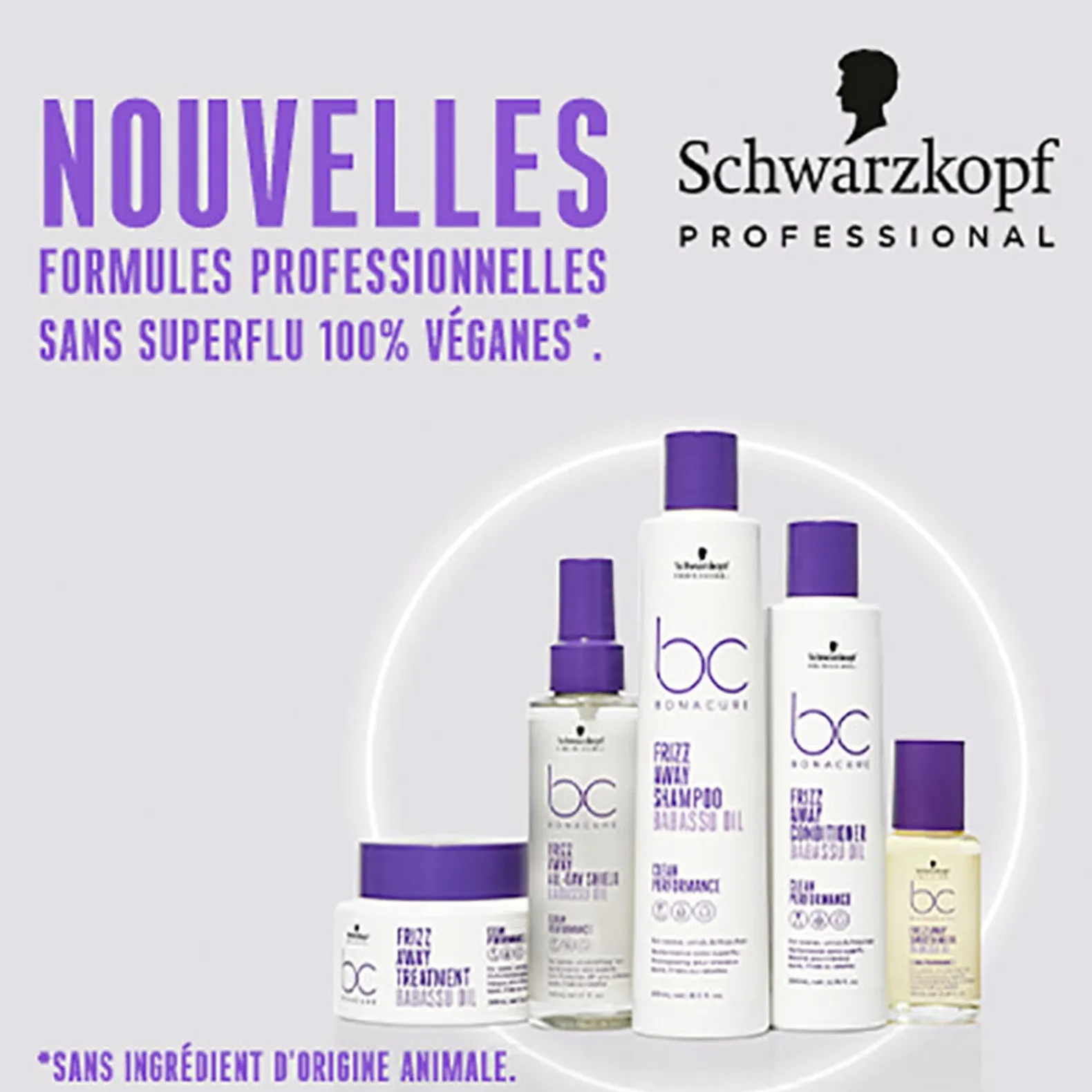 Masque lissant pour cheveux indisciplinés BC Frizz Away