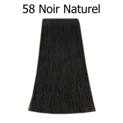 Poudre colorante Bigen 58 Noir Naturel
