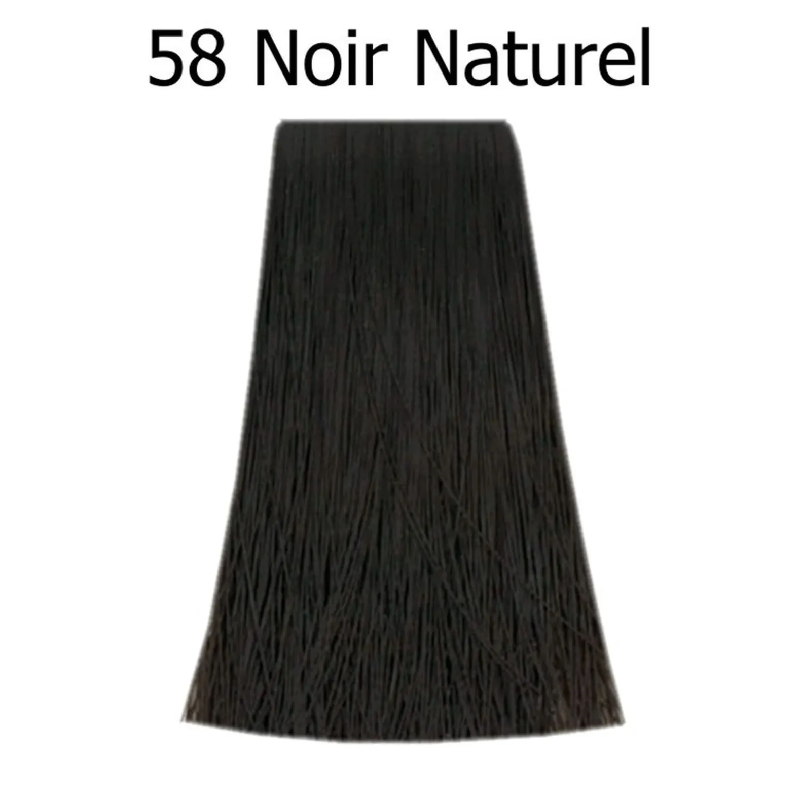Poudre colorante Bigen 58 Noir Naturel