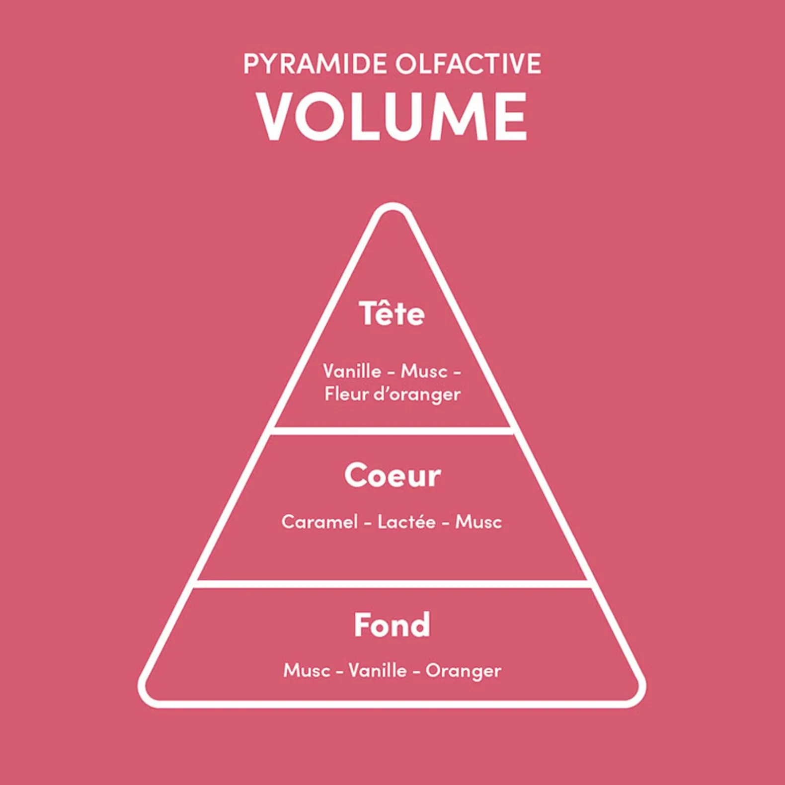 Rituel volumateur pour cheveux fins