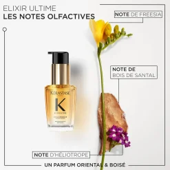 Routine Elixir Ultime