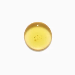 Routine Elixir Ultime