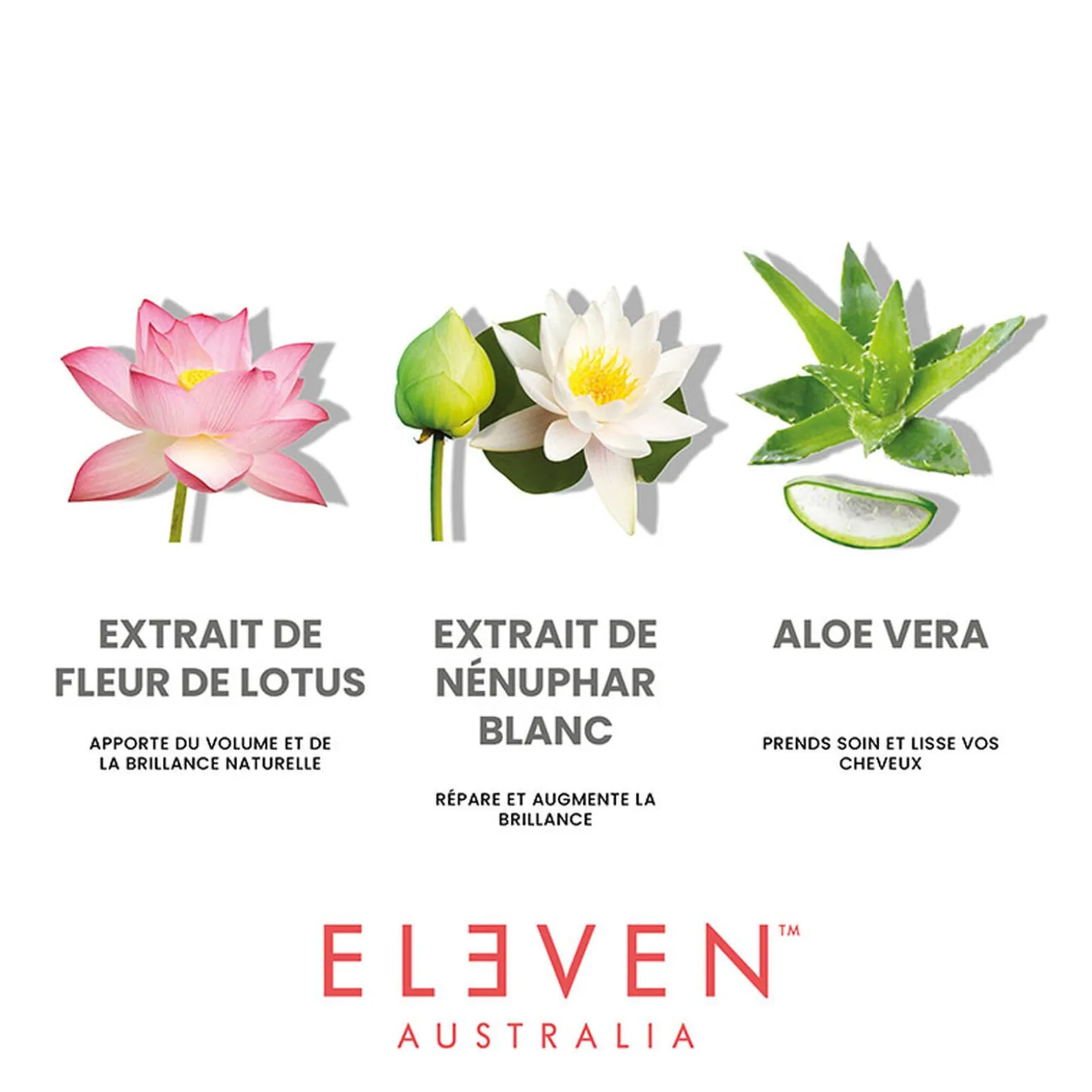 Routine Miracle Hair Treatment