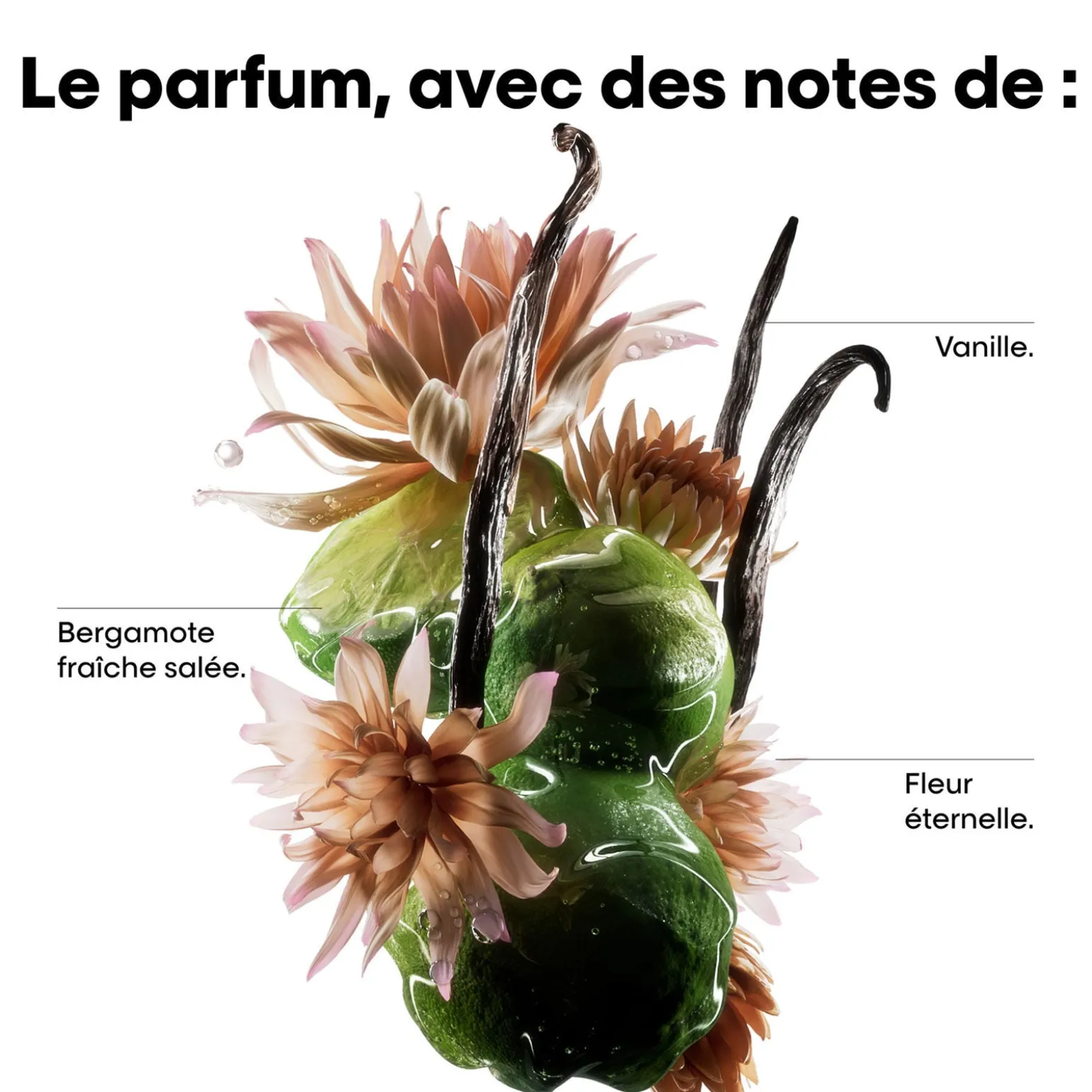 Routine réparatrice Absolut Repair Molecular