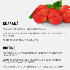 Shampooing activateur BC Root Activating