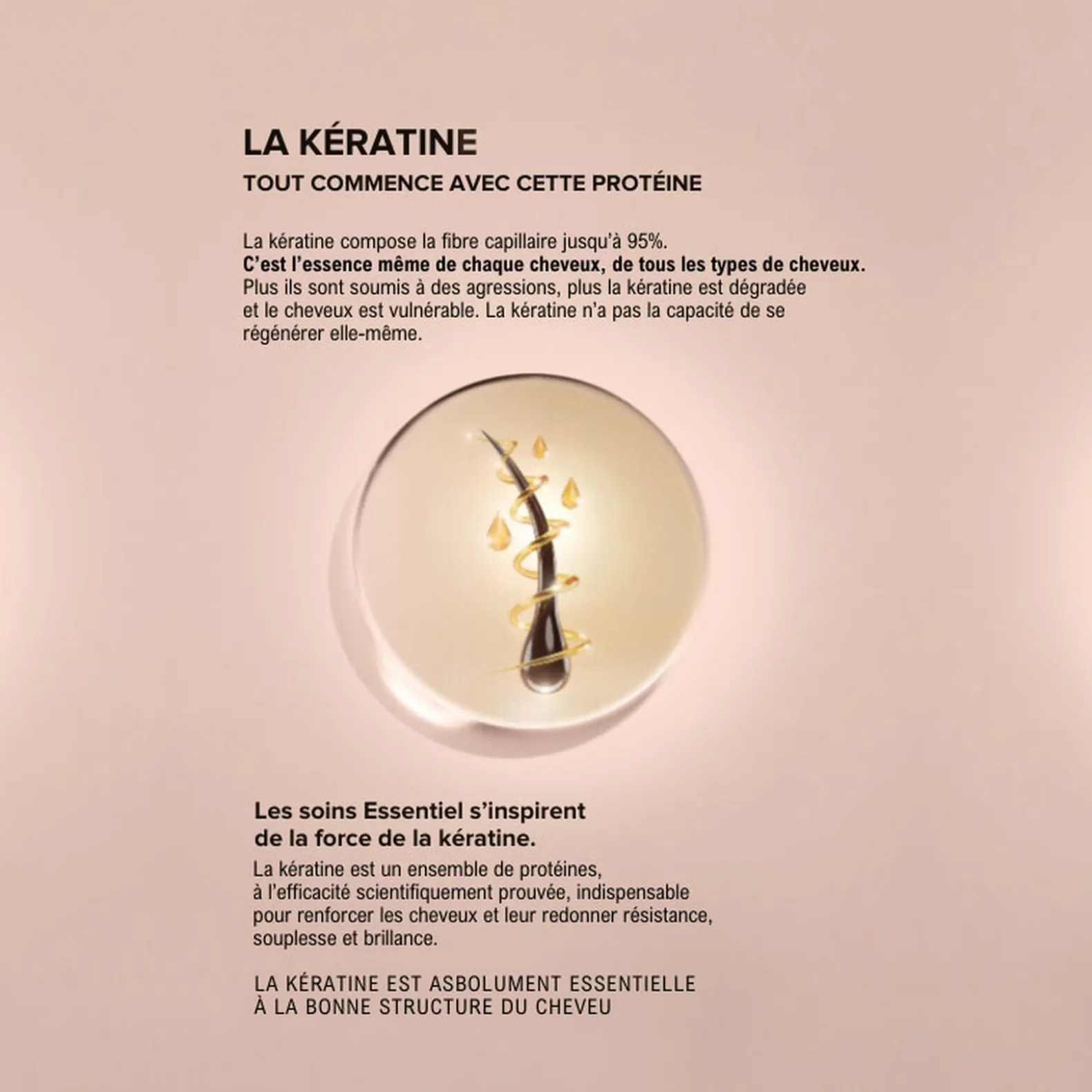 Shampooing anti-chute Essentiel Keratin Force