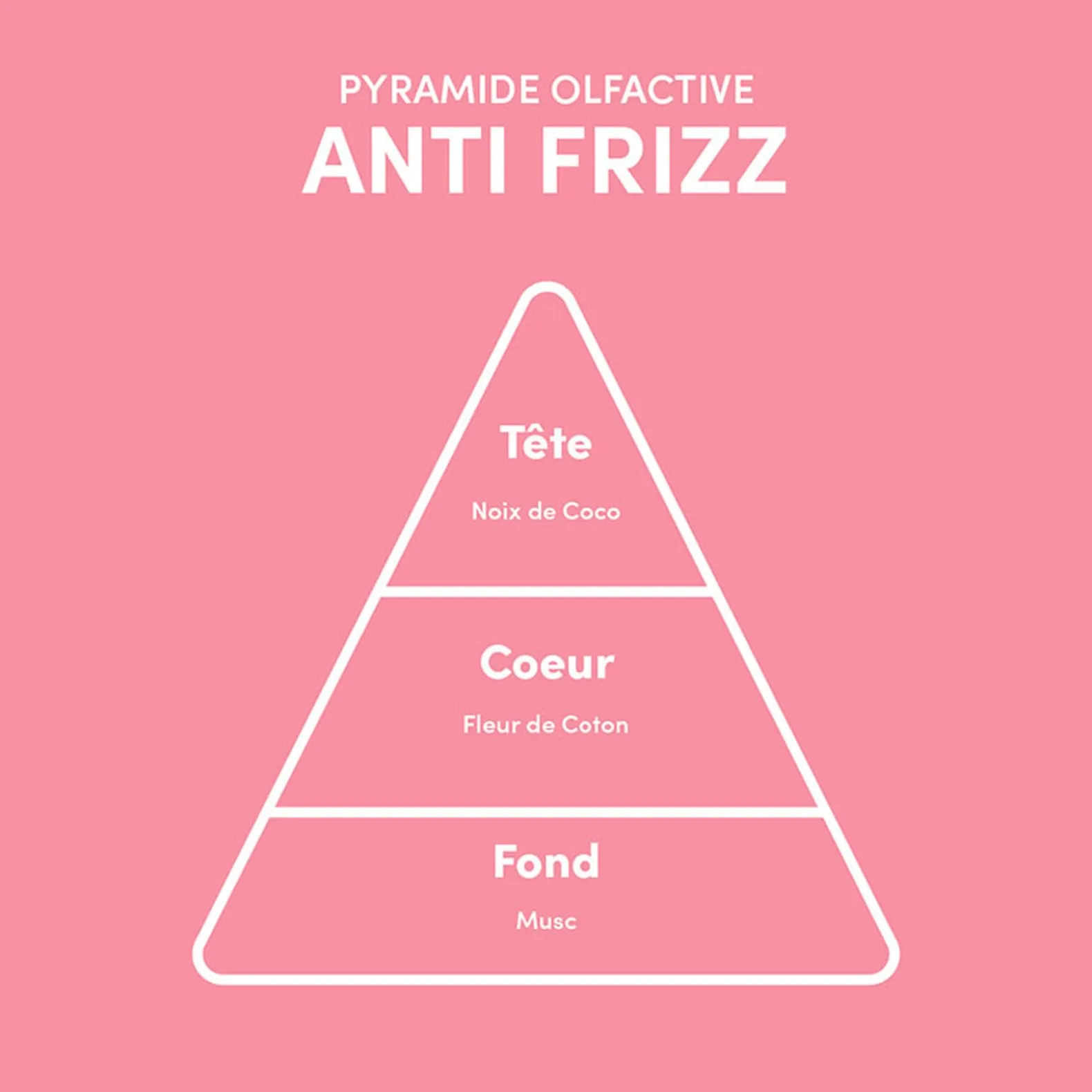 Shampooing lissant Anti-Frizz