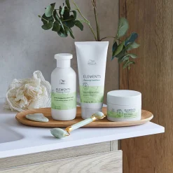 Shampooing régénérant pour cuirs chevelus normaux à gras Renewing Elements 500ml
