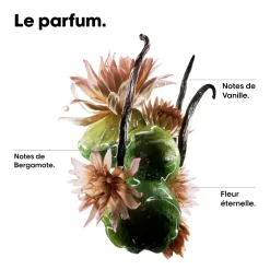Shampooing réparateur Absolut Repair Molecular 1500ml